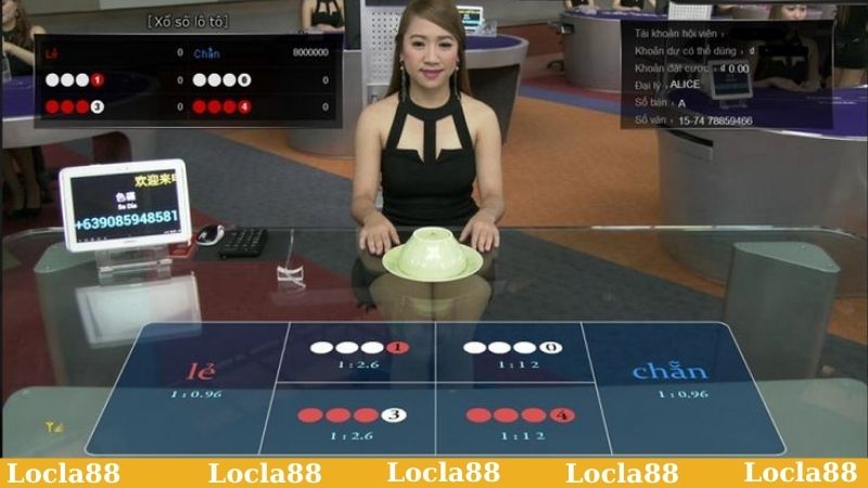 Theo dõi cửa cược và lựa chọn chân ái