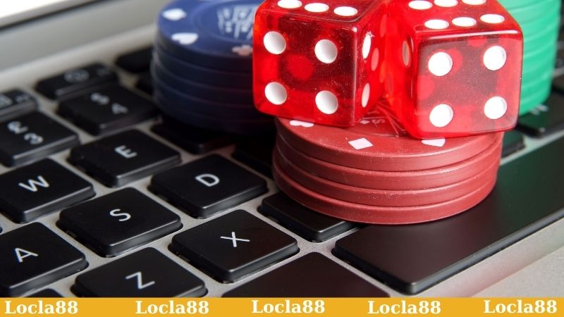 Các lý do nên tham khảo hướng dẫn